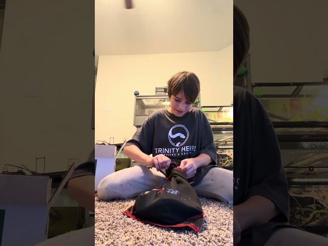 Unboxing a new ball python 