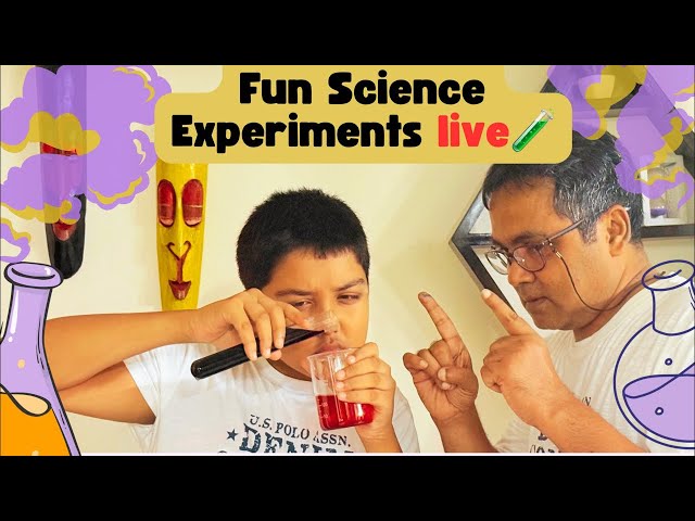 Fun Science Experiments LIVE! | 🧪