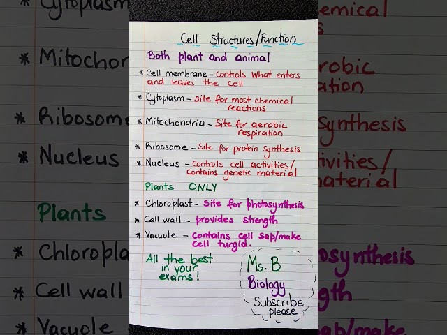 Cell structures and function GCSE BIology notes