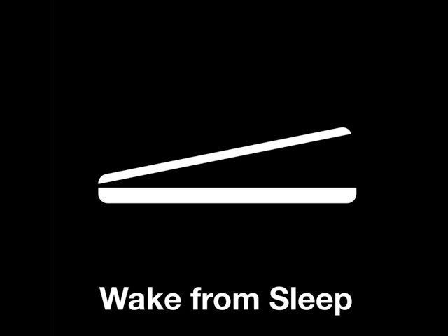 Episode: 208: The Big D