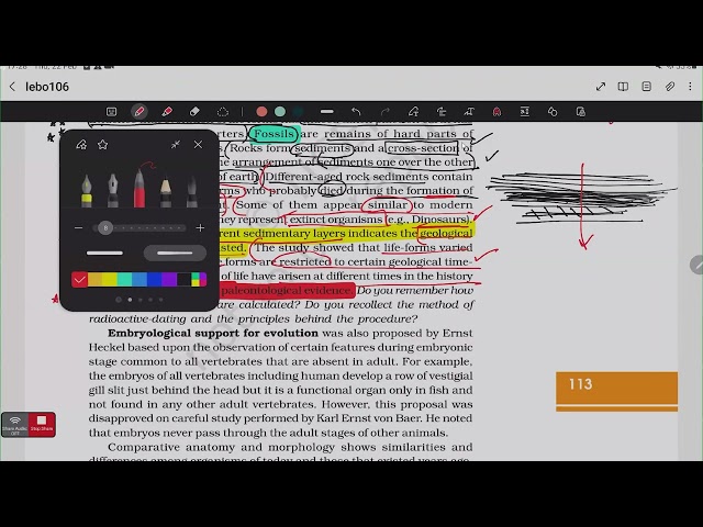 NCERT Solutions Class 12 Biology | Evolution Part 2 | Amlan Anshumat