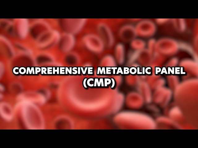 Comprehensive Metabolic Panel (CMP) Explained for Medical, PA, and NP Students