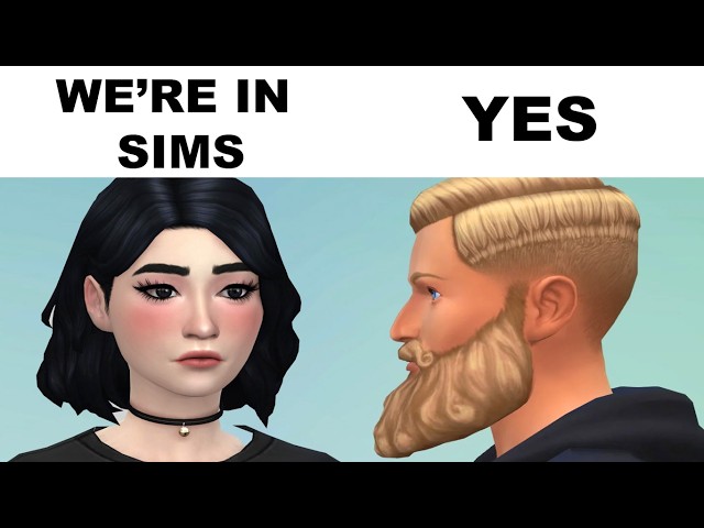 MEMES DE LOS SIMS