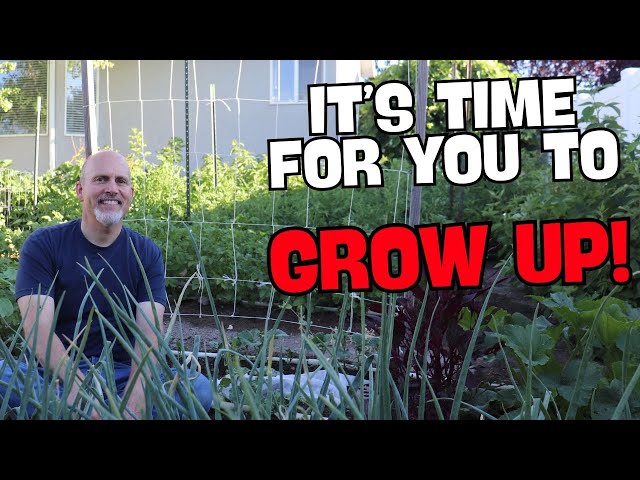 5 Simple and Inexpensive Garden Trellises