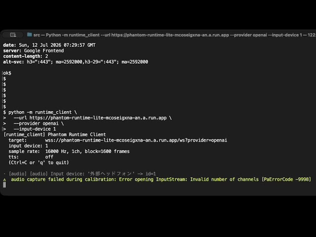 Phantom Runtime Lite | Conversational AI Runtime Verification on Cloud Run