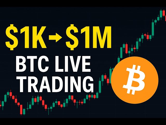 $1k to $1M  in 1Day BTC Live View