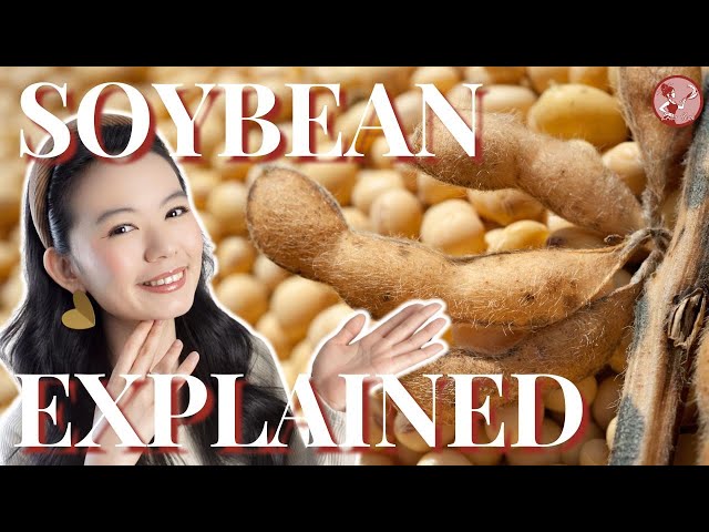 Health benefit of eating SOYBEANS | Soybean Explained