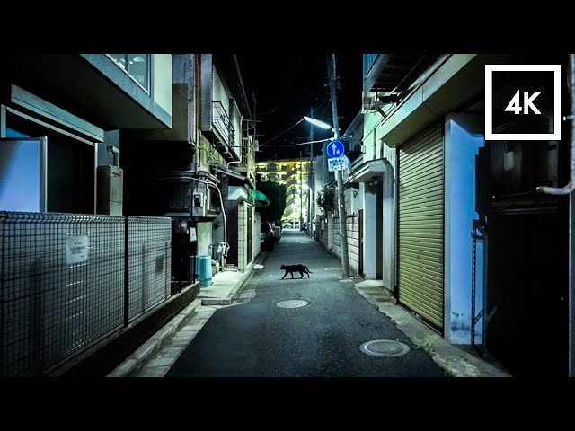 Tokyo at 3AM 🌙 | Quiet Residential Streets Walk | Immersive 4K HDR ASMR