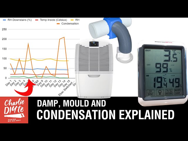 How to Stop Damp Mould & Condensation - a COMPLETE Guide