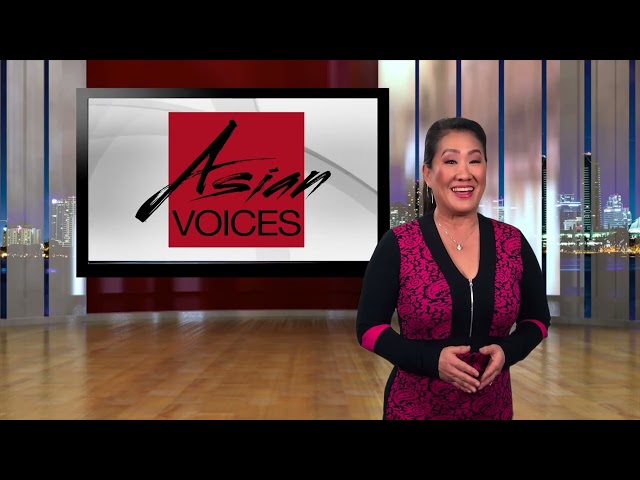 Asian Voices Episode 10 As seen on TVK