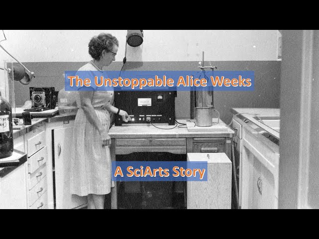 SciArts Stories: The Unstoppable Alice Weeks