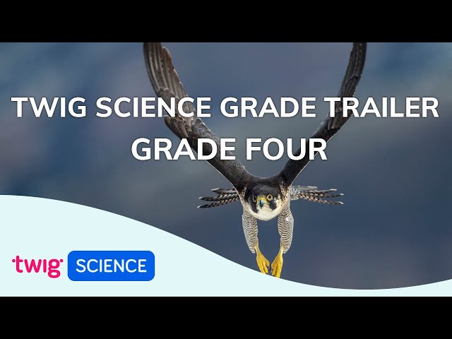 Grade Trailer: Grade Four | Twig Science