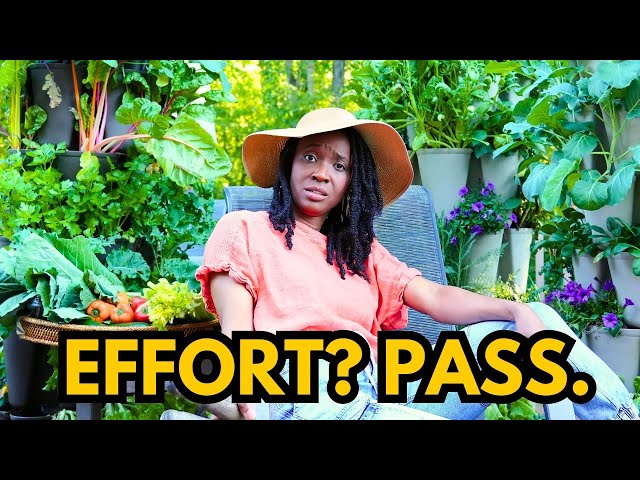 I Outgrow Backyards by 200% in 6 Weeks...the Lazy Way (No Dirt, No Yard, No Backpain)