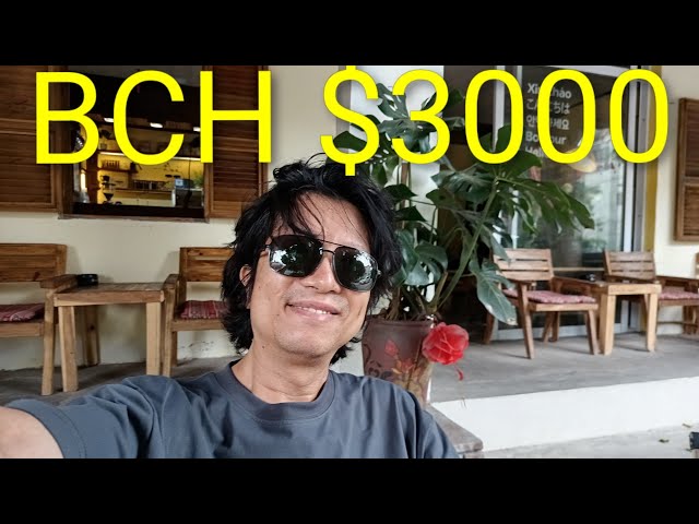 BEST CASE scenario for Bitcoin Cash reaching $3000 in next 6 months explained using just simple 📈📈📈