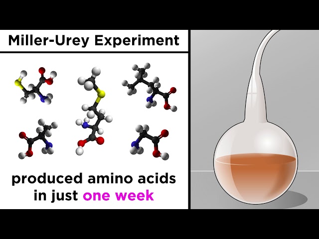 The Origin of Life on Earth