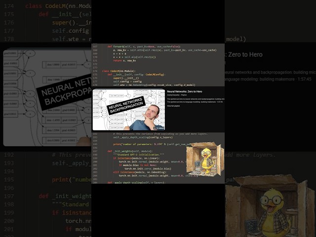 Training a Coding AI on a Single GPU #shorts #coding #python