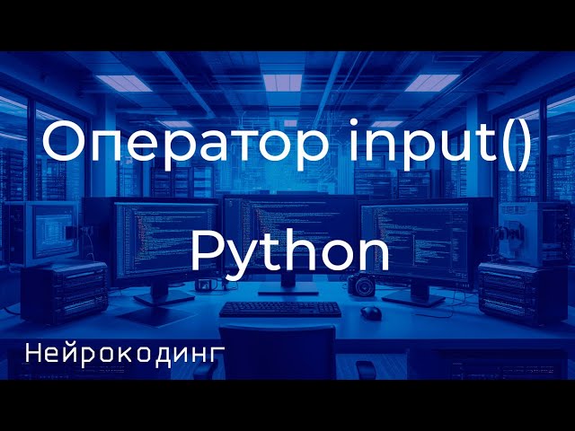 Функция input() в Python: Как получать данные от пользователя