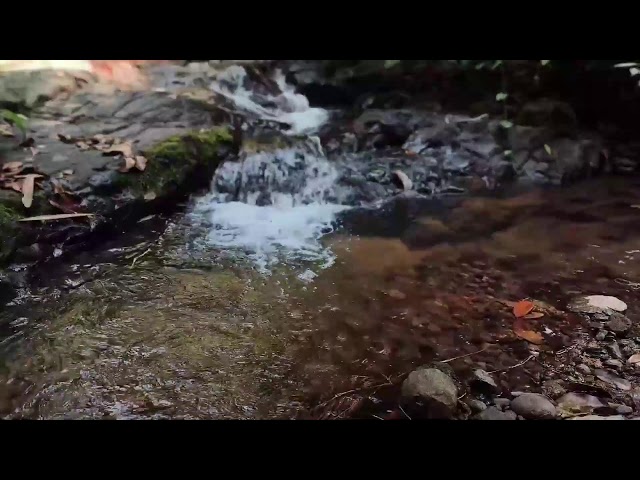 Relaxing Piano Music – Healing Vibes & River Flow for Sleep, Meditation and Inner Balance