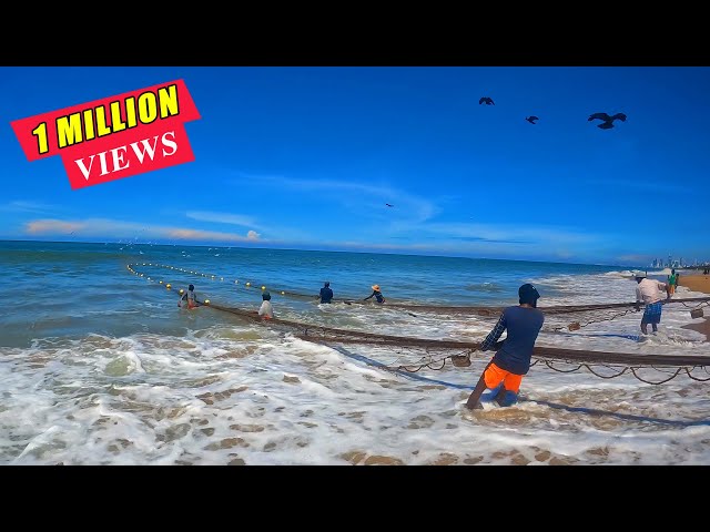 The Power of the Ocean: Most Satisfying Beach Seine Net Catch Ever
