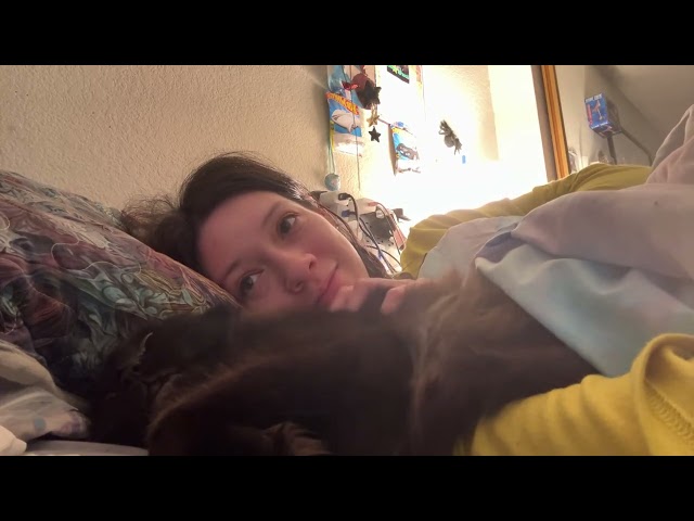 Highlight 30:25 – 35:25 from Sohi the Tiny Kitten Human is live