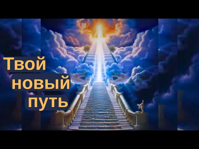 Matrix Reboot: What do you need to immediately remove from your life to open a new path?