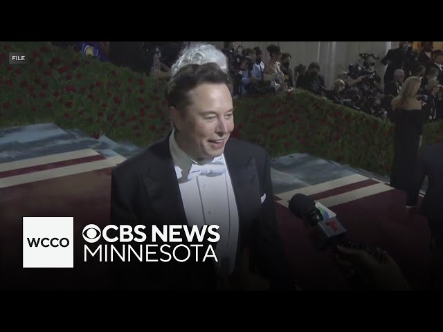 Why is Elon Musk fighting an AI nudification ban?