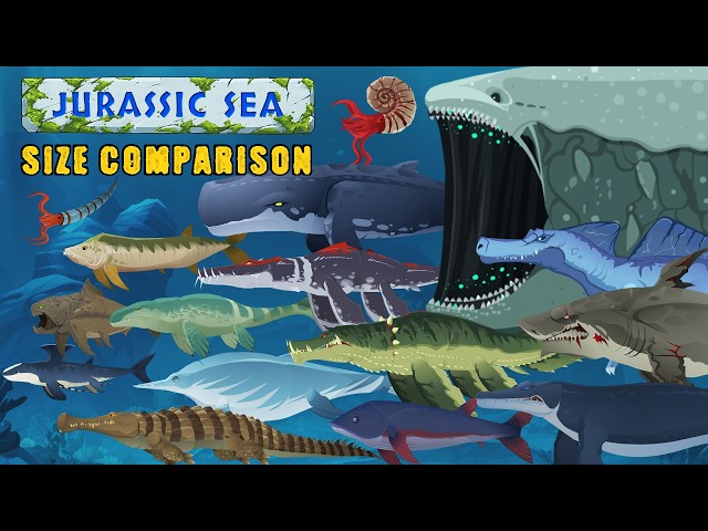 Swimming Jurassic Sea Monsters of Pangaia (Official Size Comparison)