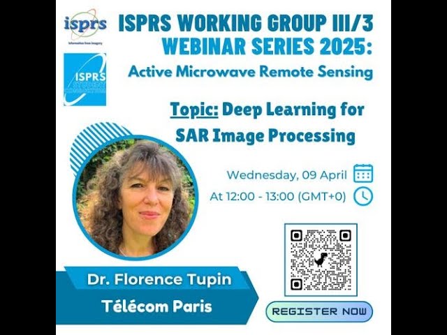 Deep learning for SAR image processing