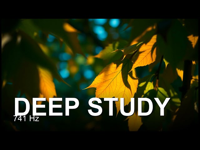Deep Study - Rain On Window & Blue Noise - 40Hz
