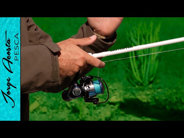 COMO USAR UNA CAÑA DE PESCA - Guía para principiantes