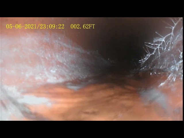 5917 E. Claire Dr. Sewer Scope Roots Video