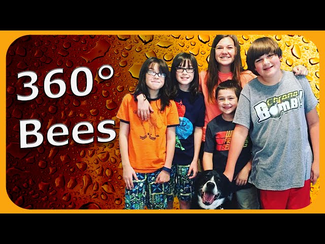 360 Degree Bees ► Park Injury + Sub Zero Ice Cream!