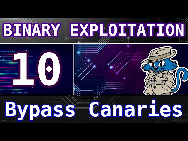 10: Bypassing Stack Canaries (leak + write) - Buffer Overflows - Intro to Binary Exploitation (Pwn)