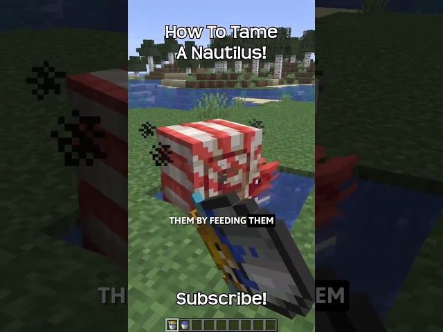 How To Tame A Nautilus In Minecraft?!