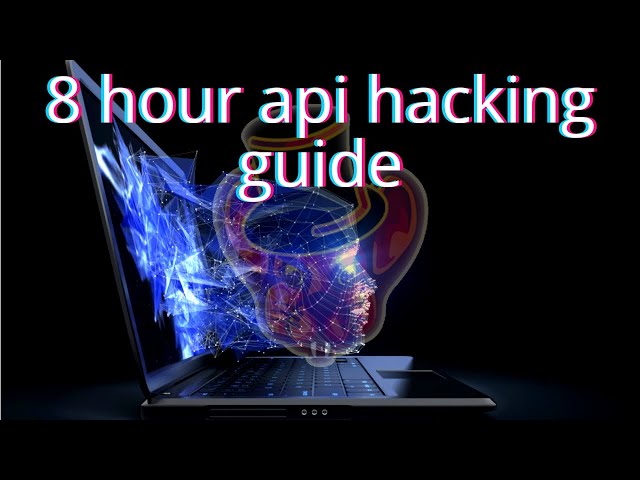 CAPIE: FULL 3 DAY (8 hours!) API Hacking Boot Camp
