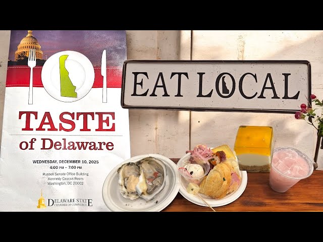 Taste of Delaware Festival | Full Event Recap
