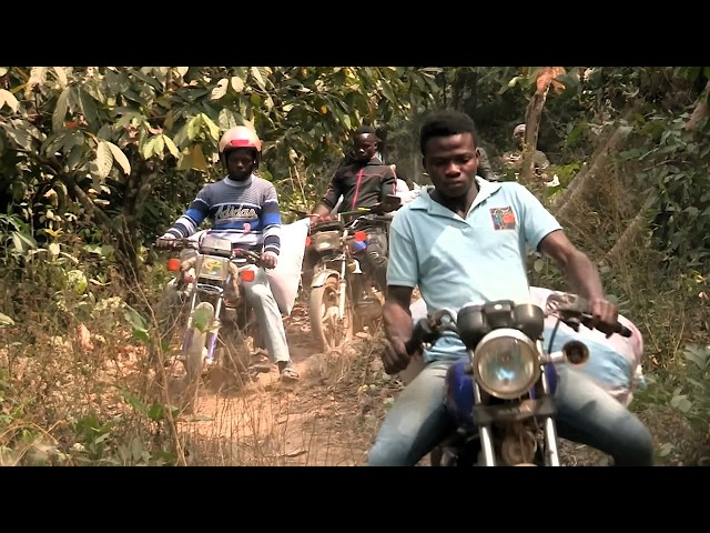 Ghana: A life of slavery for cocoa