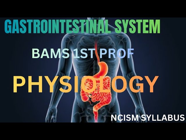 Physiology of gastrointestinal system | physiology of GIT | Functional anatomy of GIT | #physiology 