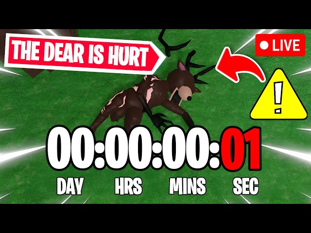 🔴ROBLOX 99 NIGHTS IN THE FOREST 🔦 UPDATE COUNTDOWN LIVE!🔴