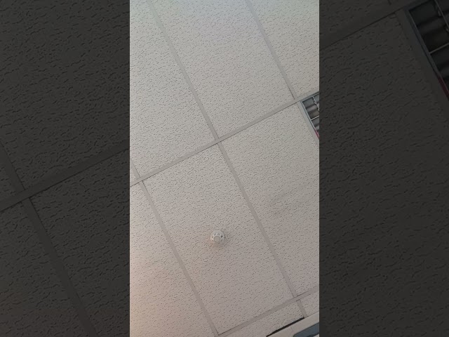 my explanation to the police unlawful arrest 👍