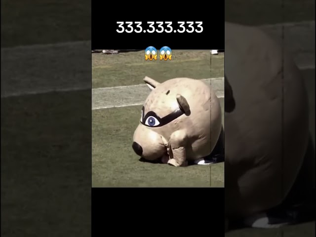 333.333.333
