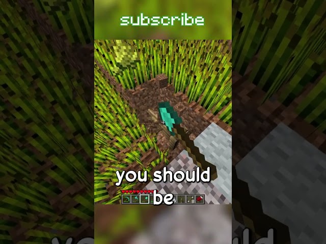 beta minecraft tips and tricks