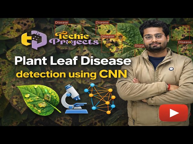 Plant Leaf Disease detection using CNN Detailed Explaination-1 | Python | Image Processing