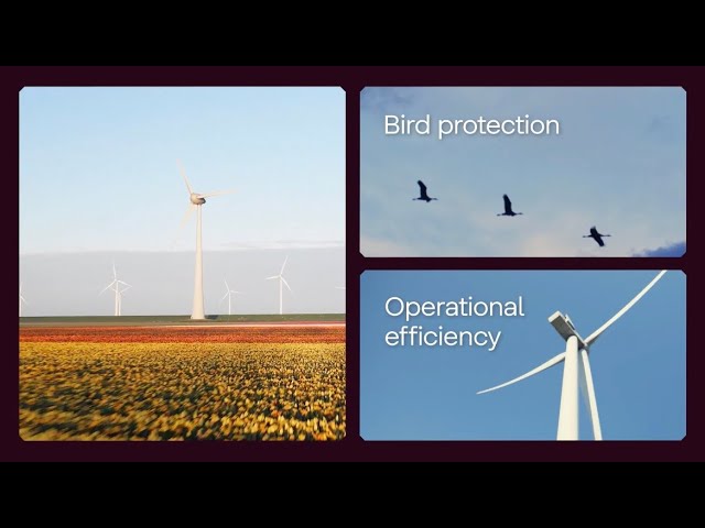 Onesait WindEye: AI and 3D Radar for Bird Protection in Wind Farms