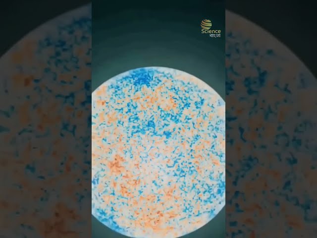 মহাবিশ্ব কত বড়? 🌌 পৃথিবী থেকে Observable Universe পর্যন্ত | Science Bangla #sciencebangla #space