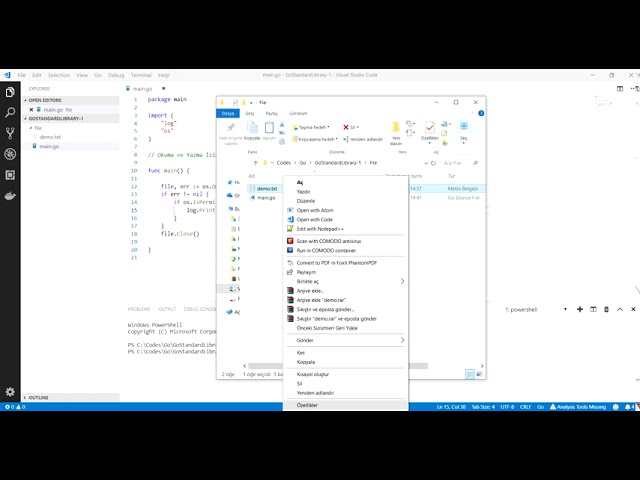 Go Programlama : Go ile Dosya İzinlerini Kontrol Etmek