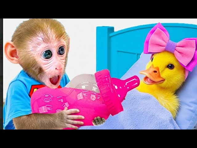 Baby Monkey Bon Bon Goes Swimming in the Pool and Discovers a Giant Alien Popcorn