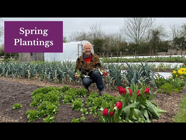 No Dig Garden Tour | What We've Planted and What’s Next to Sow