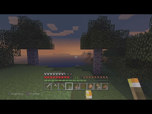 Old Minecraft 2