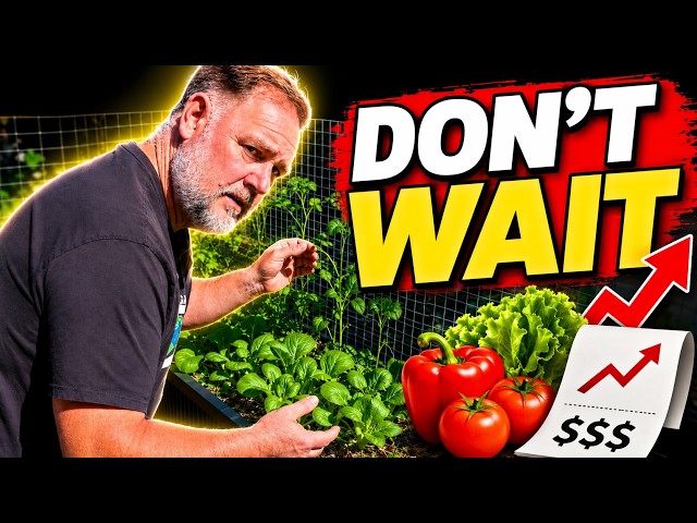 Food Prices Are Rising… Grow These NOW